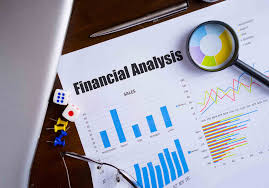 Financial Report and Analysis Course