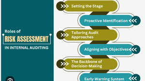 Risk Based Internal Auditing For Public and Private Sector Organizations