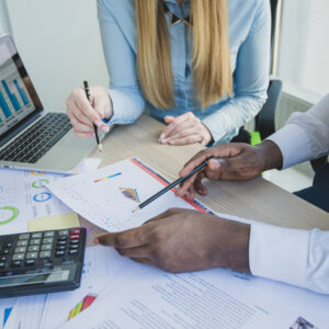 Risk Based Auditing Techniques for  Private & Public Sectors Organizations Course