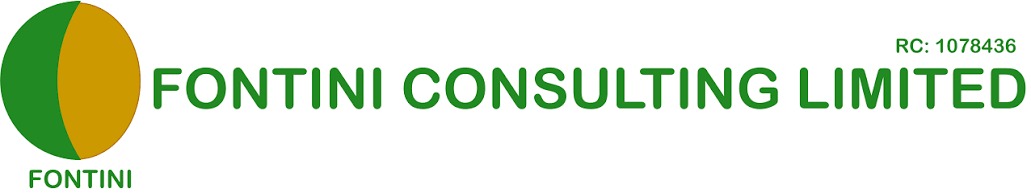Fontini Consulting Ltd