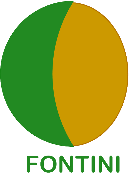 Fontini Consulting Limited logo